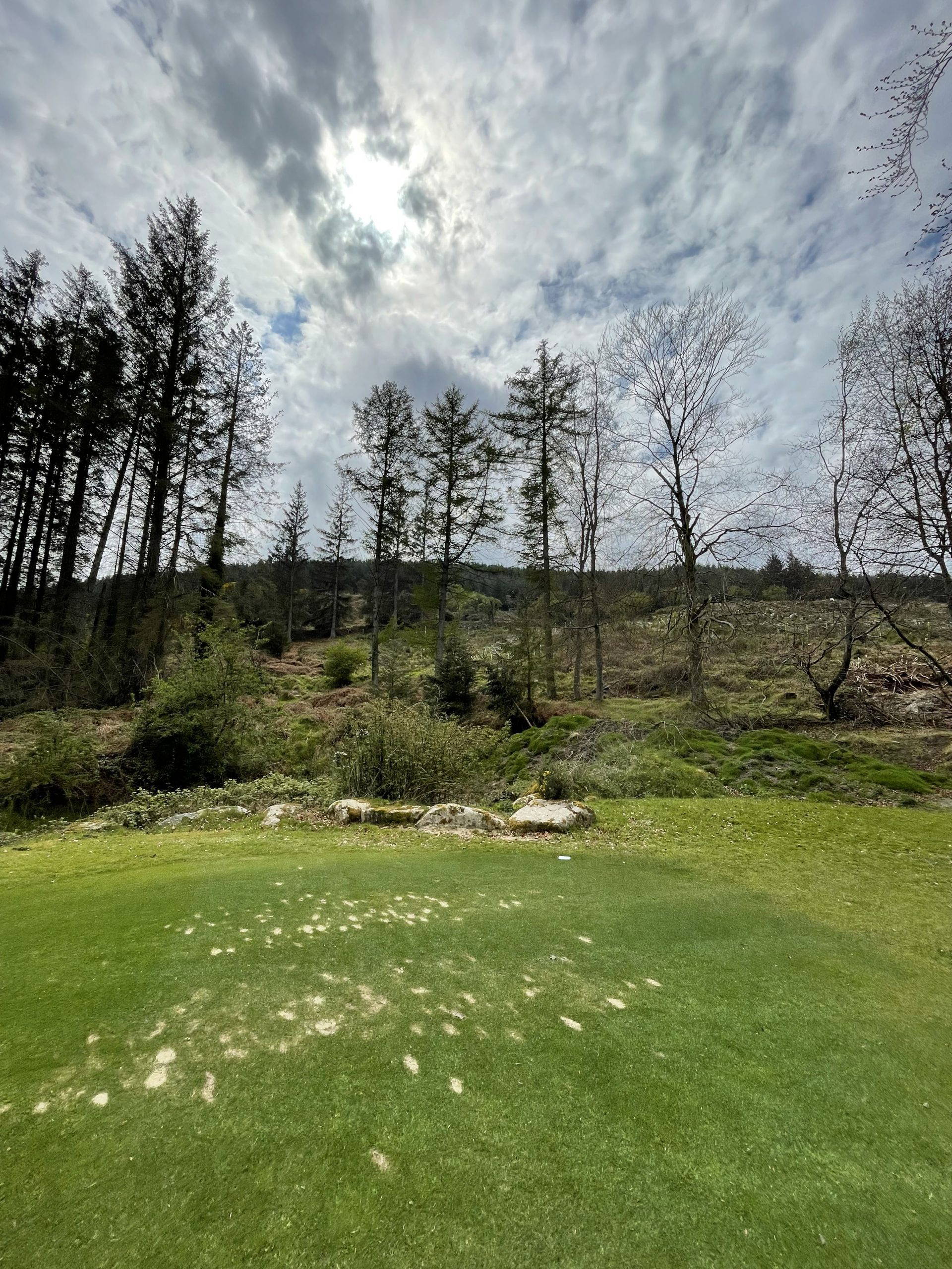 Take a Look Stackstown Golf Club